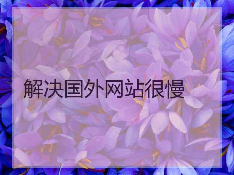 解决国外网站很慢