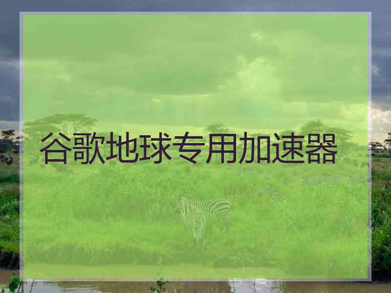 谷歌地球专用加速器