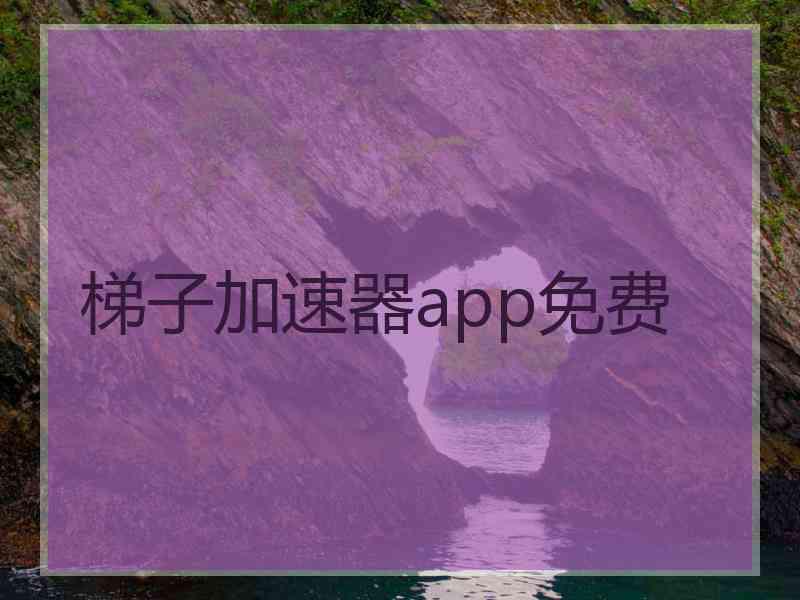 梯子加速器app免费