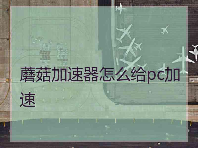 蘑菇加速器怎么给pc加速