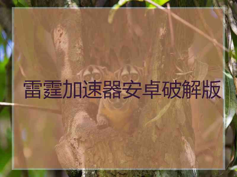 雷霆加速器安卓破解版