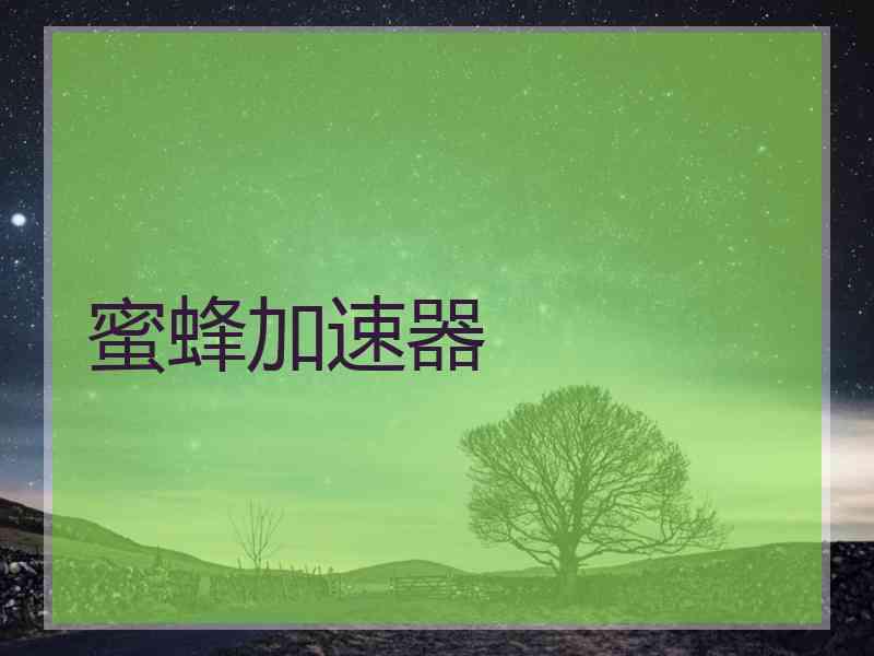 蜜蜂加速器