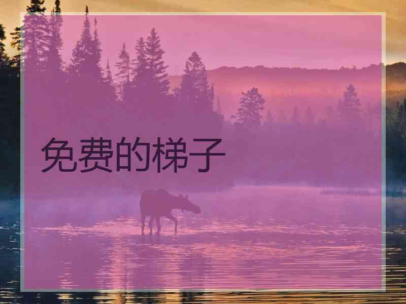 免费的梯子
