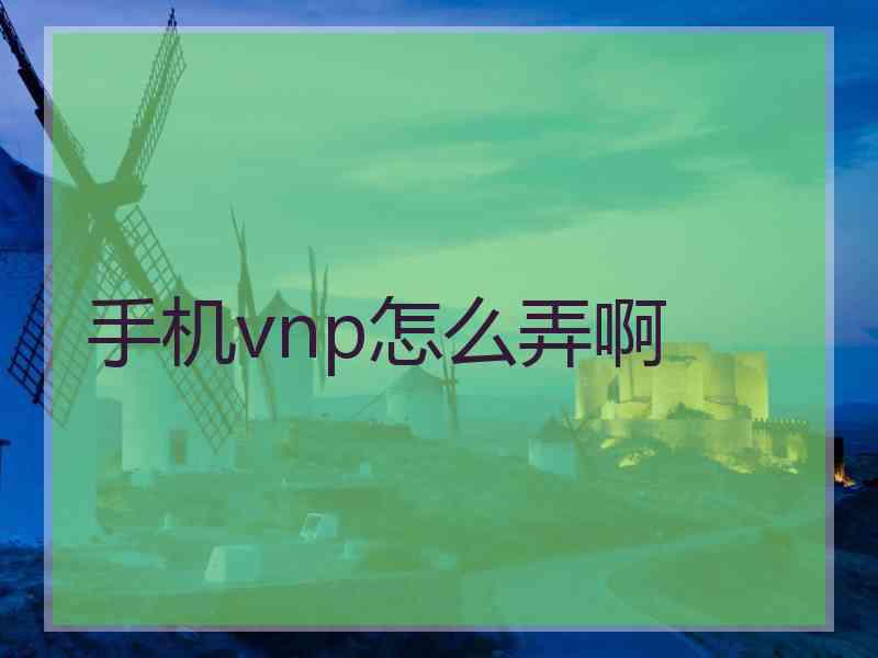 手机vnp怎么弄啊