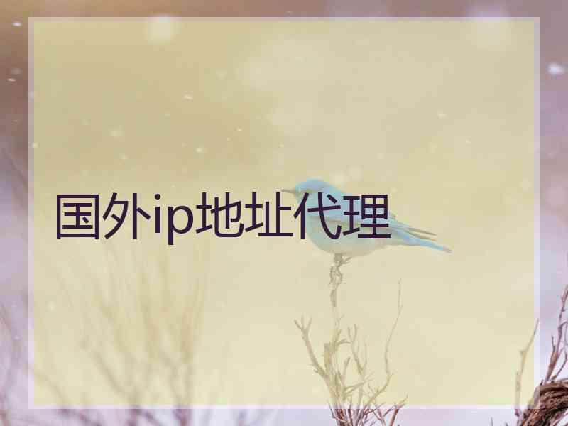 国外ip地址代理