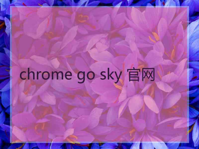 chrome go sky 官网