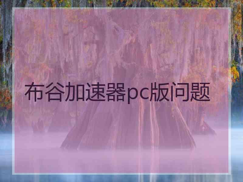 布谷加速器pc版问题