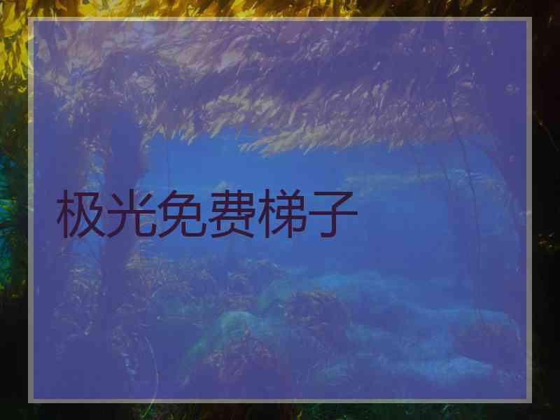 极光免费梯子