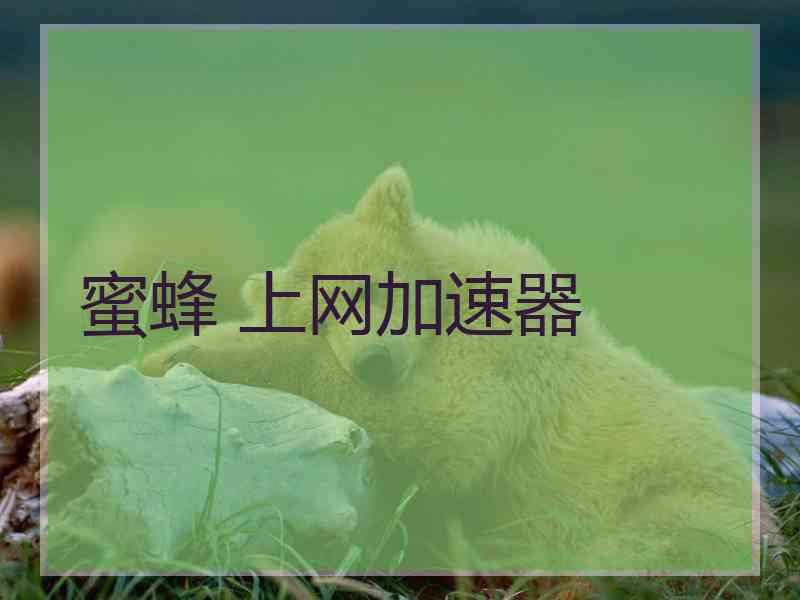 蜜蜂 上网加速器