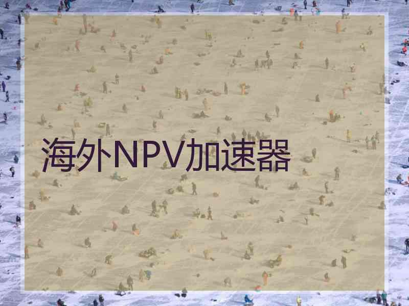 海外NPV加速器