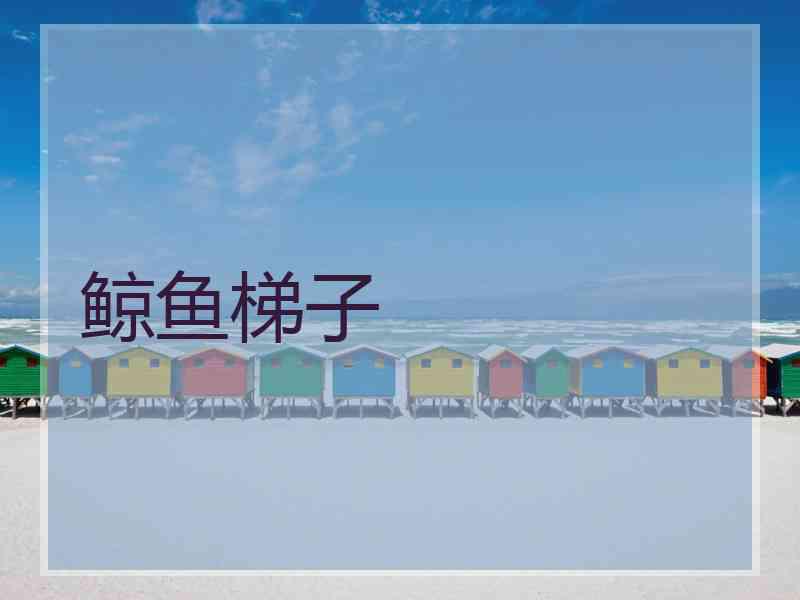 鲸鱼梯子