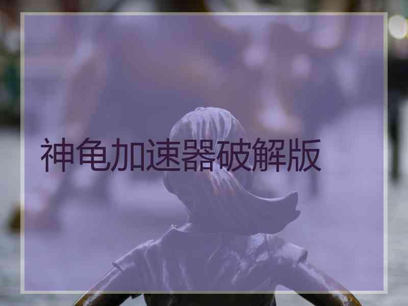 神龟加速器破解版