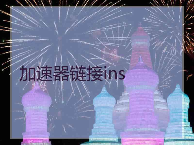 加速器链接ins