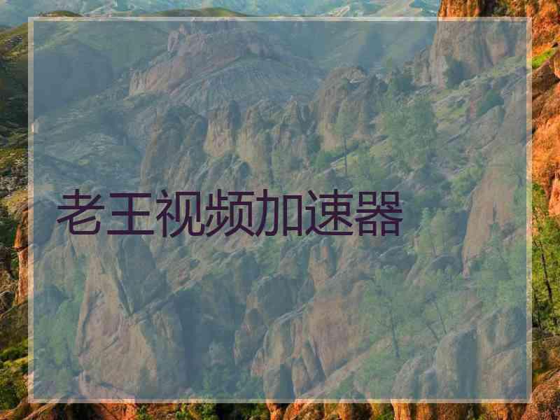 老王视频加速器