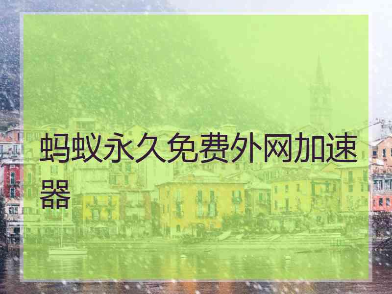 蚂蚁永久免费外网加速器