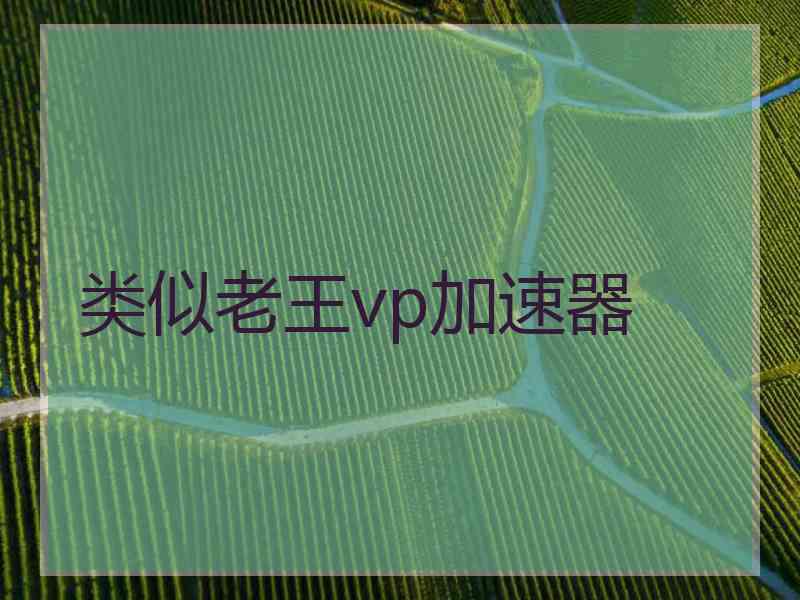 类似老王vp加速器