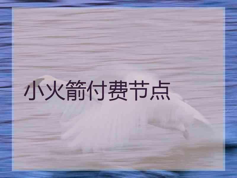 小火箭付费节点
