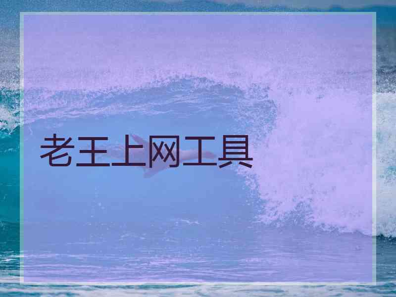 老王上网工具