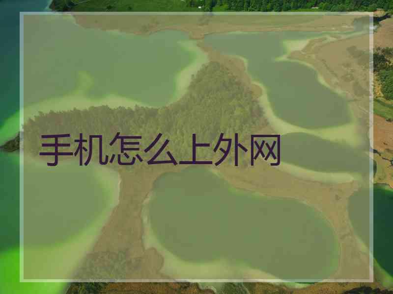 手机怎么上外网