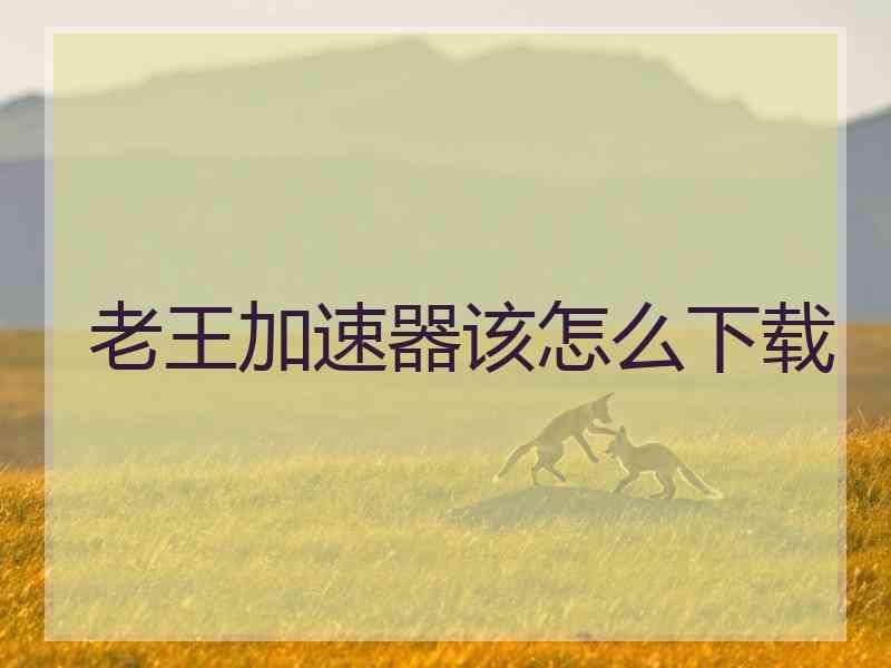 老王加速器该怎么下载