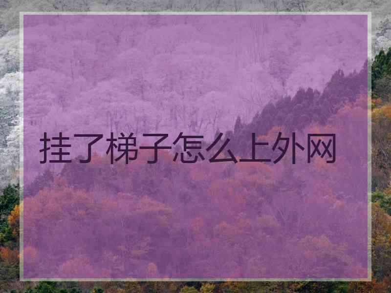 挂了梯子怎么上外网