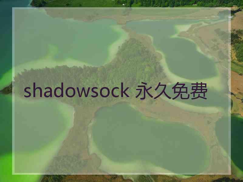 shadowsock 永久免费