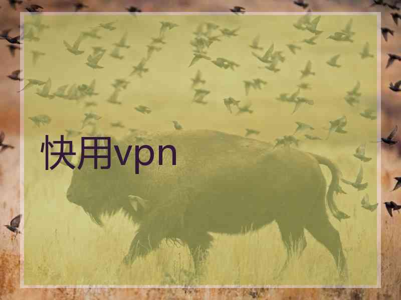 快用vpn