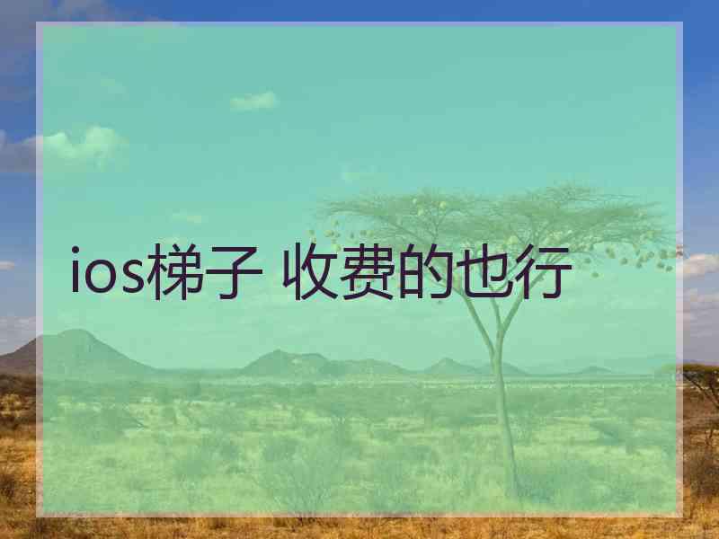 ios梯子 收费的也行