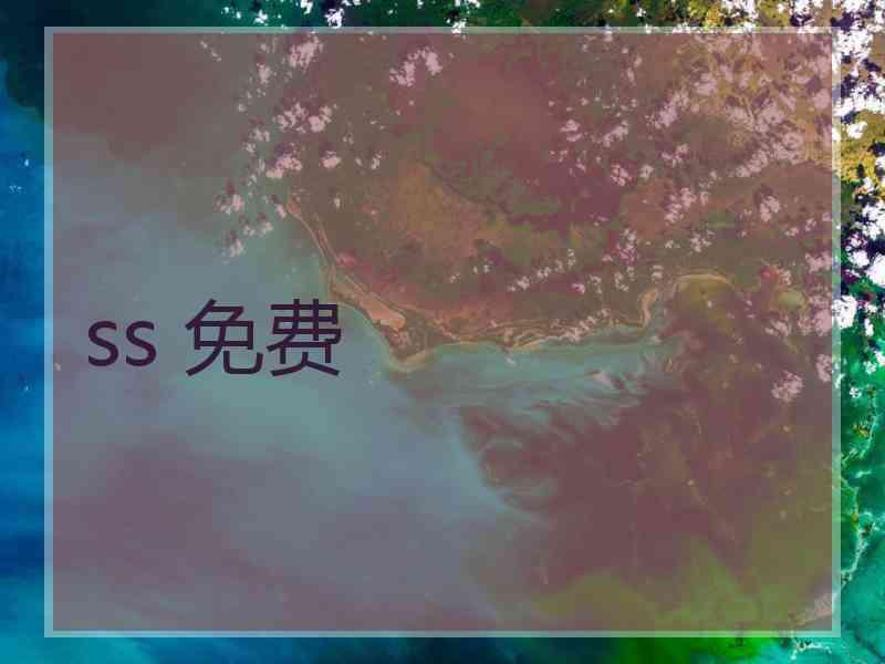 ss 免费