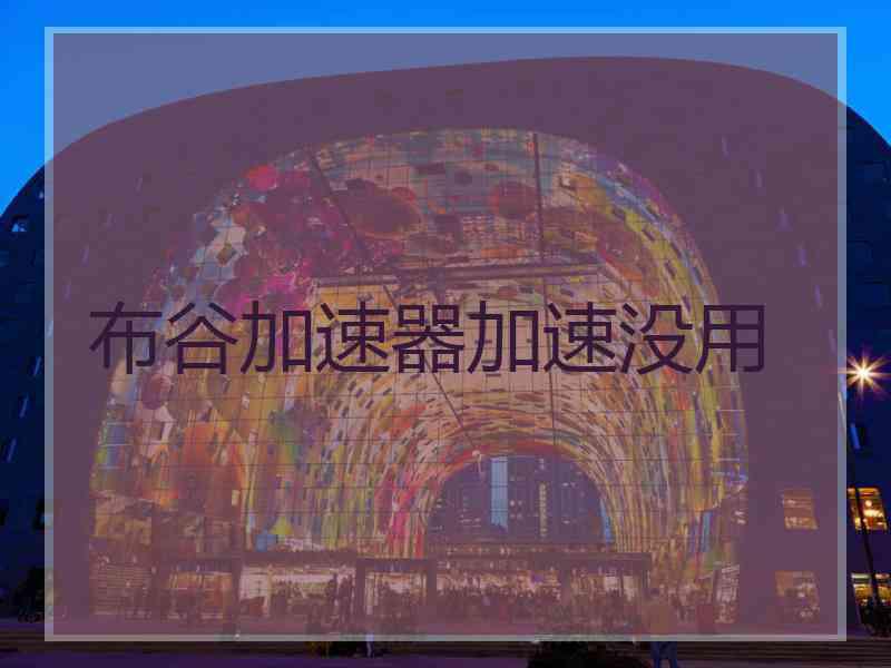 布谷加速器加速没用
