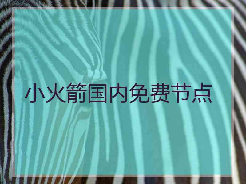 小火箭国内免费节点