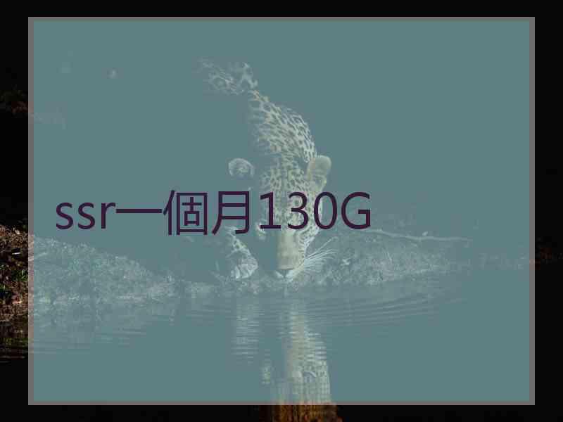 ssr一個月130G