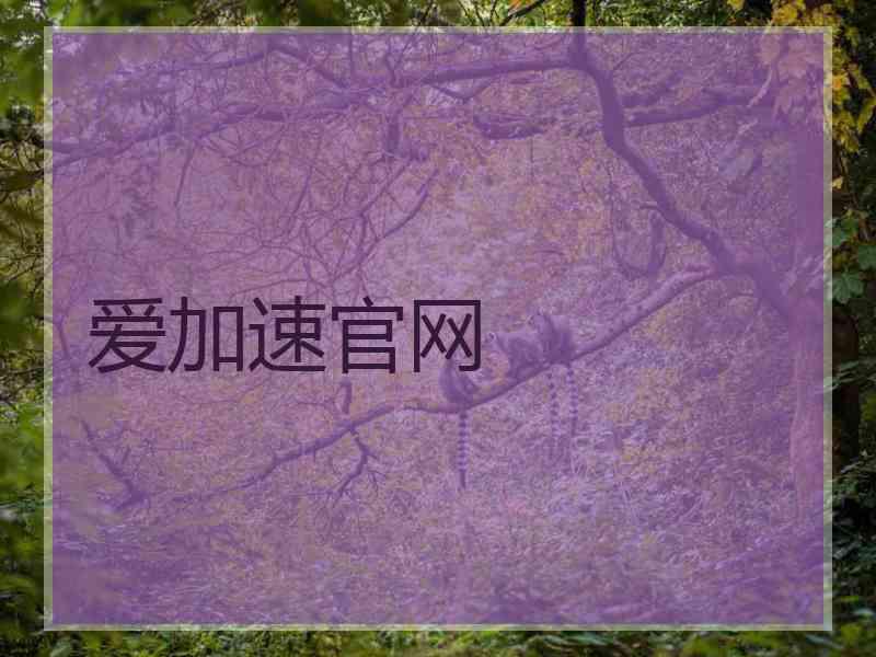 爱加速官网
