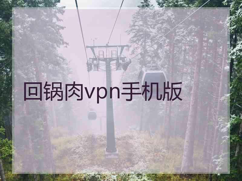 回锅肉vpn手机版