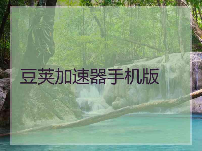 豆荚加速器手机版
