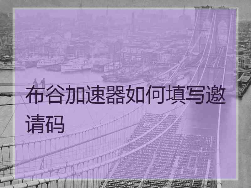 布谷加速器如何填写邀请码