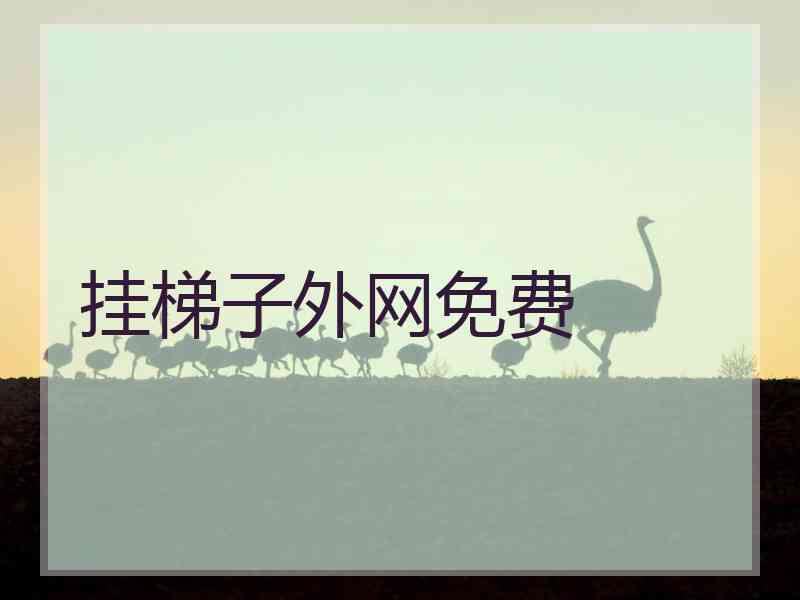 挂梯子外网免费
