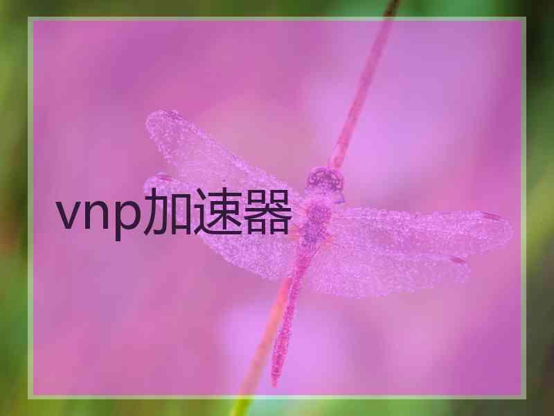 vnp加速器