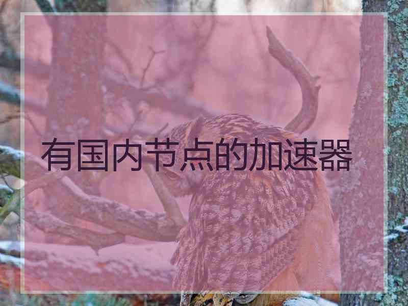 有国内节点的加速器