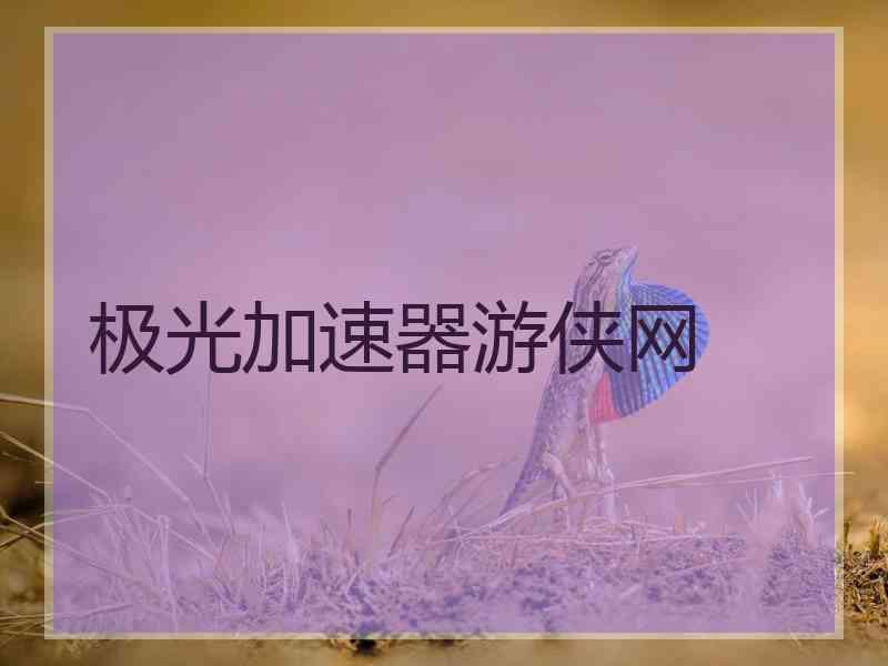 极光加速器游侠网