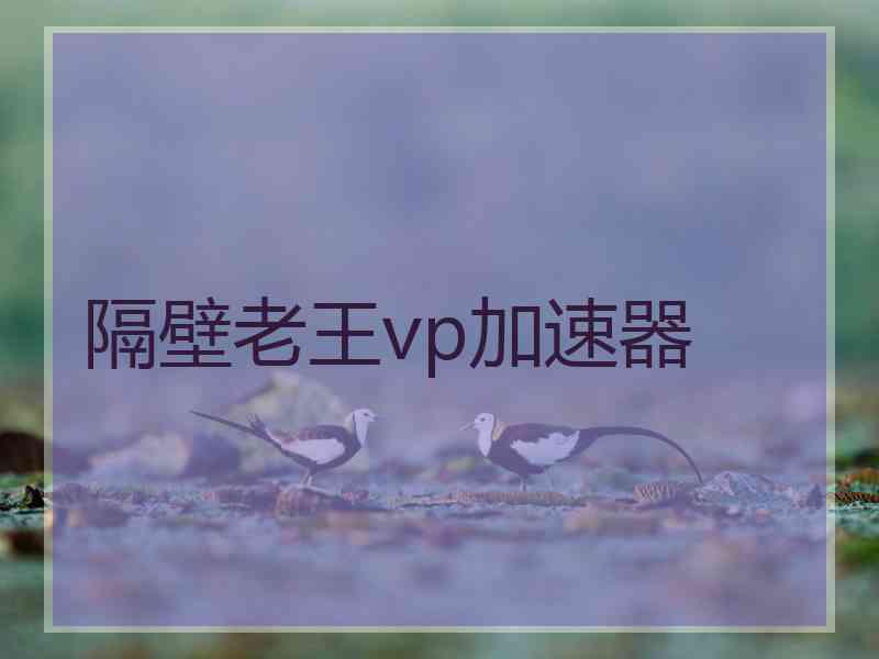 隔壁老王vp加速器