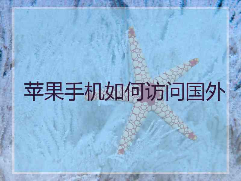 苹果手机如何访问国外