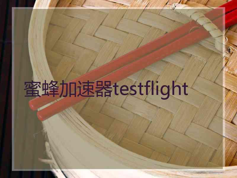 蜜蜂加速器testflight