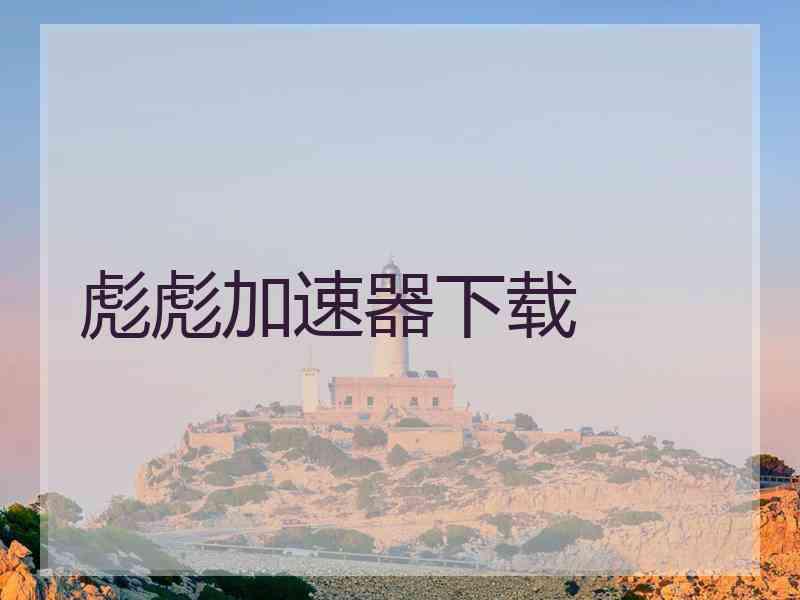 彪彪加速器下载