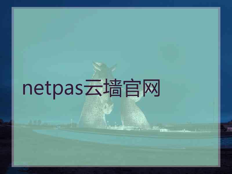 netpas云墙官网