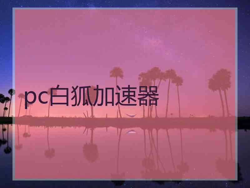 pc白狐加速器