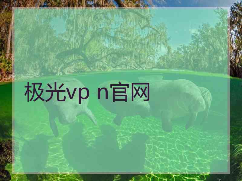 极光vp n官网
