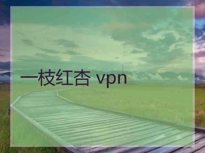 一枝红杏 vpn
