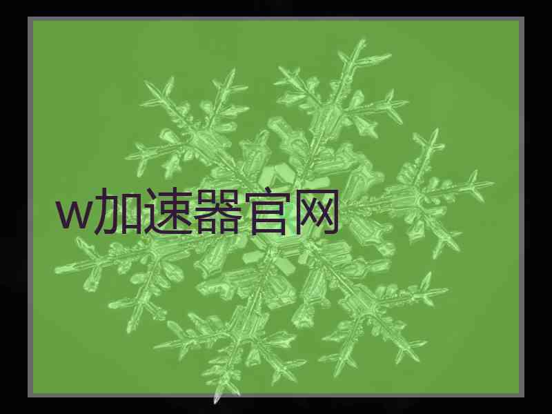 w加速器官网