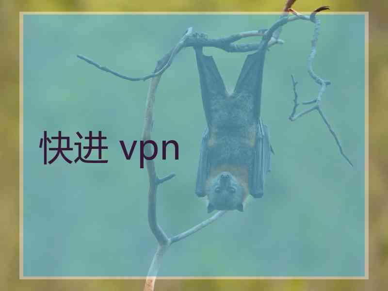 快进 vpn